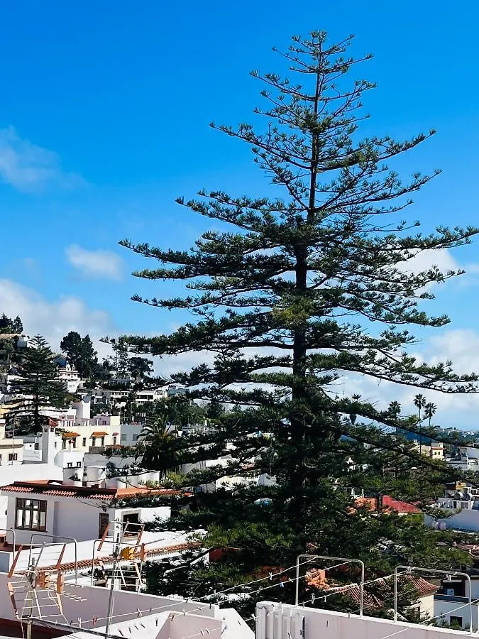 Appartement Teror Centro 2